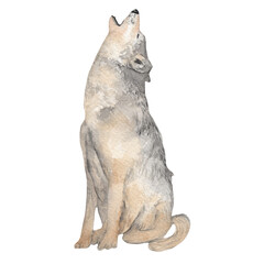 Watercolor forest animals. Gray wolf. Hand-painted woodland wildlife.