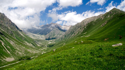 Obraz premium Summer in mountains