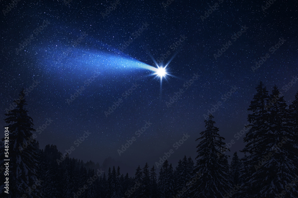 Wall mural christmas night. the first star lit up in the winter forest with snow and the night starry sky. chri