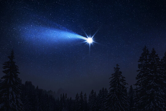 Christmas night. The first star lit up in the winter forest with snow and the night starry sky. Christmas Eve concept. Comet falls in the starry night sky