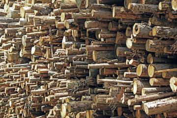 Brennholz auf Stapel