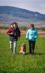 Fototapeta premium Family running with their pets in winter and happily enjoying the freedom of the mountains and nature.