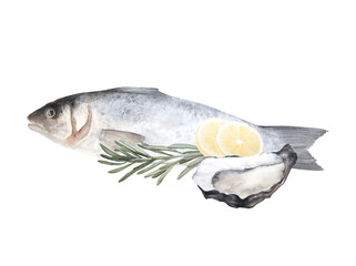 Watercolor illustration of raw fish sea bass and oyster isolated on white background