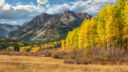 Autumn foliage in Aspen, Colorado - Castle Creek Road   © Craig Zerbe
