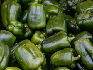 Obraz na płótnie Canvas Green bell pepper. Background and texture of green peppers. Diet and vegetarian meals. Pepper is used in salads, soups, casseroles, vegetable and meat stews, and baked goods.