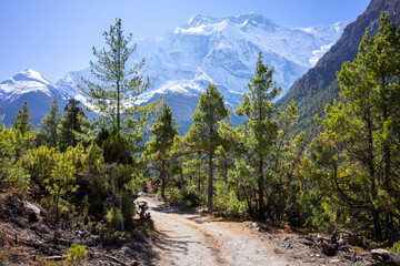 Stunning open landscape with no people in the mountains of the Anapurna Circuit in Nepal. Snowy...