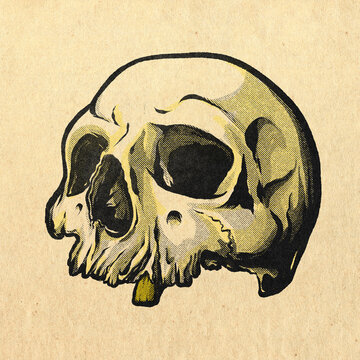 Full colour, Ink and halftone illustration of skull on vintage paper with stains, textures and distressed printing marks.