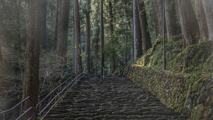 Obraz premium Nachi Falls Stairs