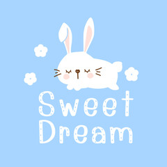 Obraz na płótnie Canvas Sleeping rabbit cartoons, hand drawn fonts and cute flower on blue background vector.