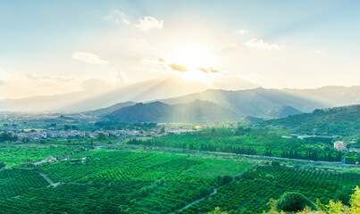 Fototapeta premium green beautiful valley with gardens and plantations and amazing mountains on background during sunset or sunrise