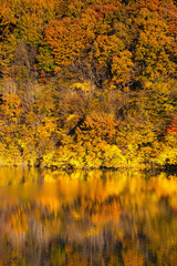 秋の夕暮れ　箕輪ダム