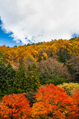 紅葉した山と青空　箕輪町