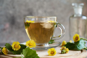 A cup of coltsfoot tea with fresh coltsfoot flowers and leaves