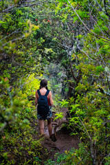 girl with backpack walks among dense green vegetation on kuliouou ridge trail on oahu, hawaii, hiking on mountains in hawaii, active recreation in hawaii