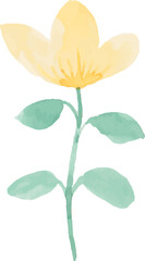 Wild Flower watercolor