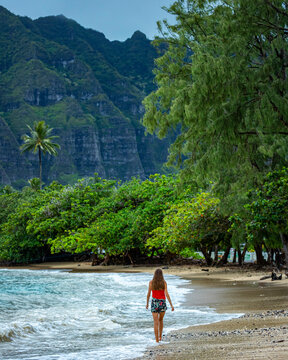Imágenes de "Hawaiian Islands": descubre bancos de fotos, ilustraciones