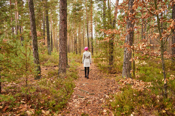 kobieta na spacerze w lesie  - obrazy, fototapety, plakaty