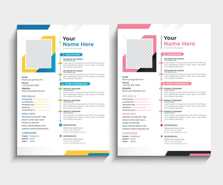 modern professional resume CV template