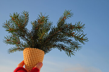 Natural fir branches in waffle cone in the hand on blue sky background