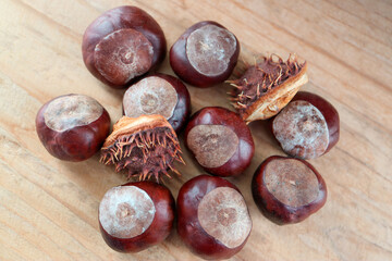 Chestnuts With Shells On Wooden Board