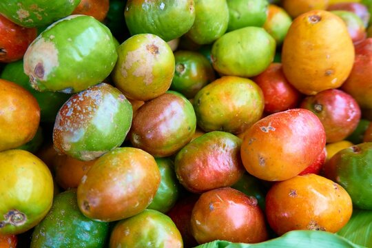 Closeup of Jocote fruits (Spondias purpurea) in a market