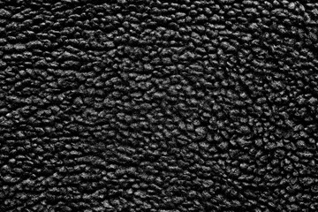Fototapeta premium Wooly Sheep Fleece Texture Background