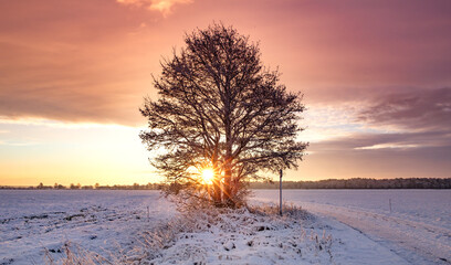 winter