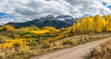 Rocky Mountains - Autumn golden aspen foliage near Ridgway Colorado - County Road 5 - Mount...