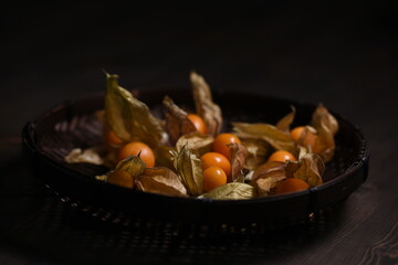 physalis