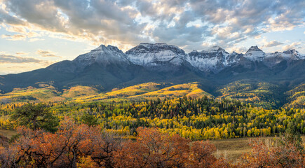Rocky Mountains - Autumn golden aspen foliage near Ridgway Colorado - County Road 5 - Mount...