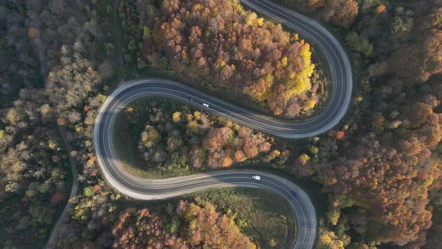 Aerial view of road amidst trees during autumn	