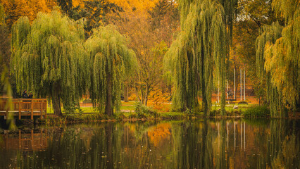 Park on Orunia in Gdansk in the autumn season. View of the pond and colorful trees.