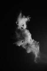 Deep Clouds filled with birds 4K resolution HDR