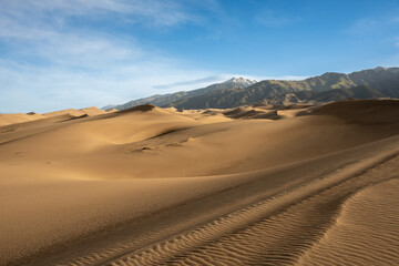 Fototapeta na wymiar Diagonal Line of Ripples Across Great Sand Dunes
