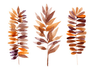 Autumn leaves. Watercolor illustration for a poster or your design.