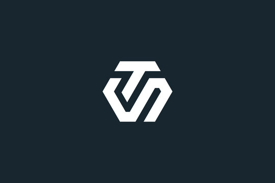Abstract ST, TS, S, T Letters Logo Initial Based Monogram Icon Vector.