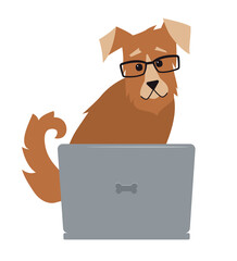 A dog with glasses is sitting at a laptop.