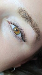 Obraz premium Close up of eyelash Extensions in beauty salon macro eye