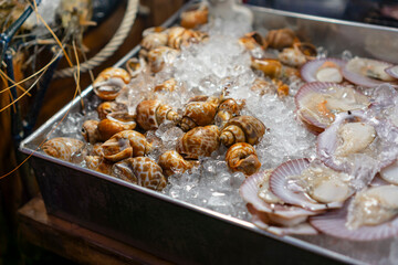 seafood on ice tray