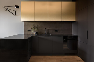 Elegant and modern kitchen interior