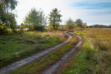 Fototapeta na wymiar Road in the countryside on an autumn sunny day. Nature in the Kharkiv region of Ukraine