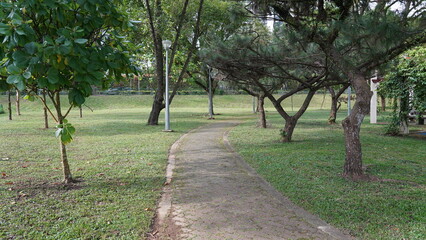 path in the park