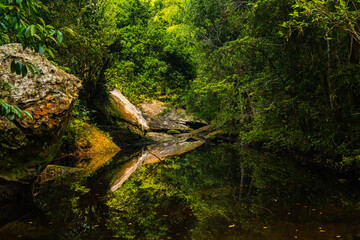 Beautiful pond with rocks and trees surround it. It is in the middle of jungle. It represents concept of calm, nature, peaceful, calm, quite and freshness.