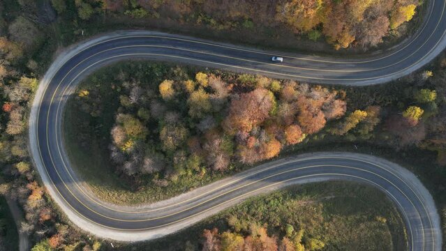 Aerial view of road amidst trees during autumn	