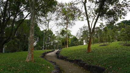 path in the park