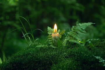 burning candle on moss, dark green blurred natural background. magic candle for witch ritual in forest, mysterious fairy scene. 