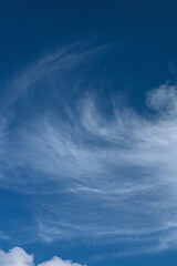 beautiful blue sky with small white cumulus cloud against blurred cirrus clouds as a natural background