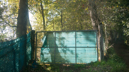 Tejido verde en puerta rústica de bosque de robles