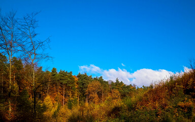 Beautiful Polish golden autumn.