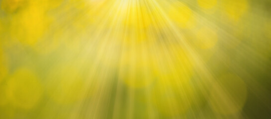 Yellow and green bokeh background, spring season, defocused fairy lights and sunbeams, flare...
